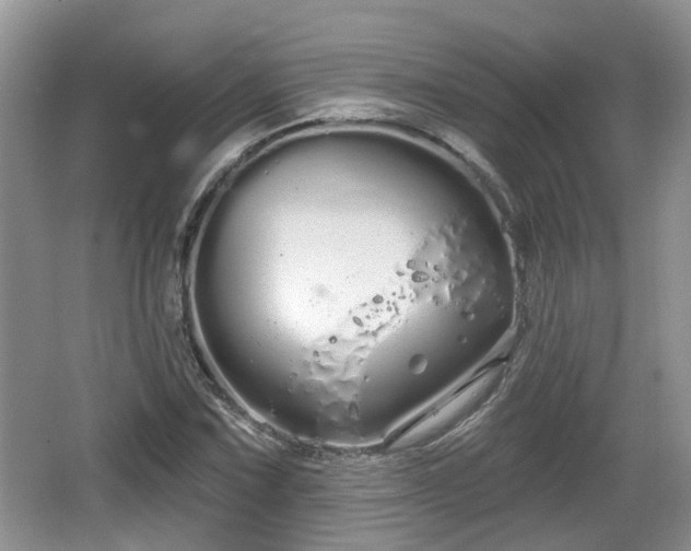 X0000064721067200602131218