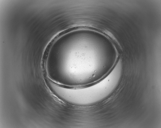 X0000064721068200602131218