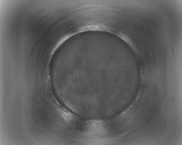 X0000064721070200602131218