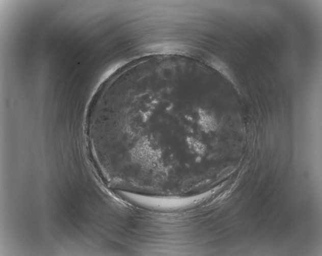 X0000064721071200602131218