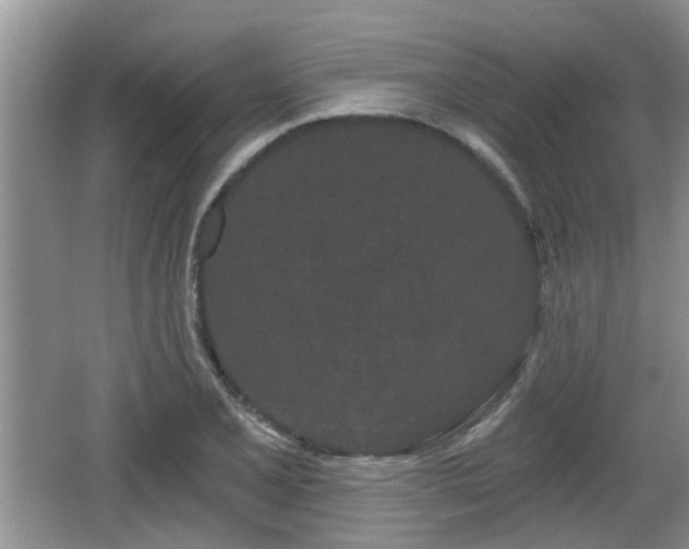 X0000064721077200602131218