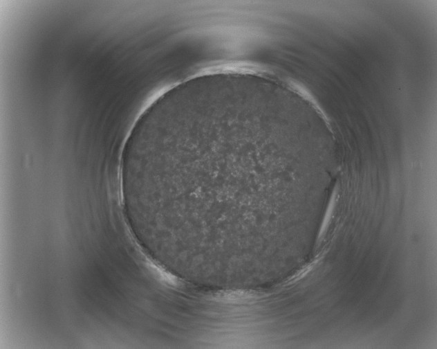 X0000064721079200602131218