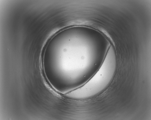 X0000064721080200602131218