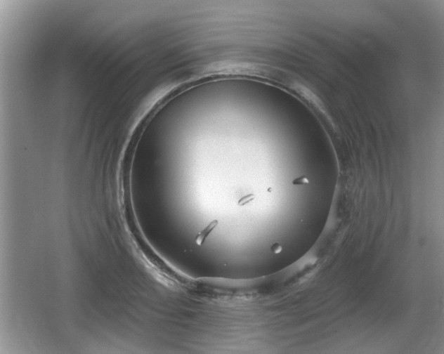 X0000064721082200602131218