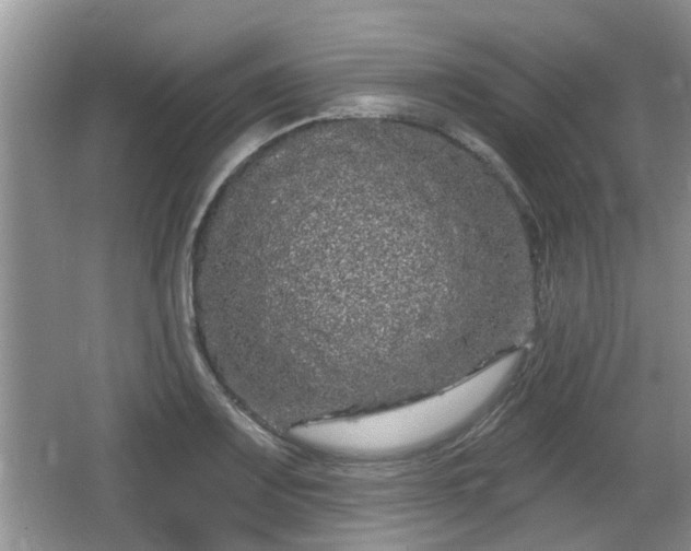 X0000064721083200602131218