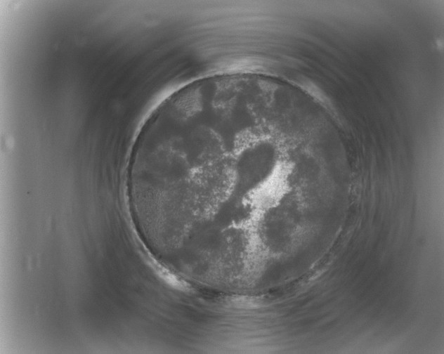 X0000064721086200602131218