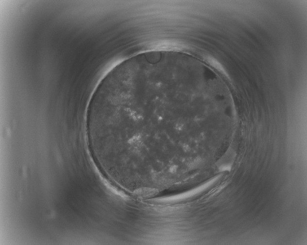 X0000064721087200602131218