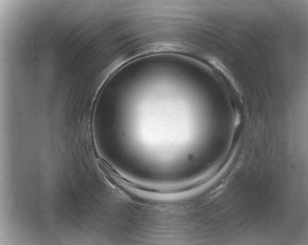 X0000064721089200602131218