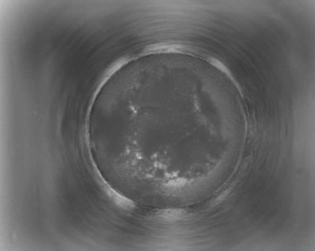 X0000064721090200602131218