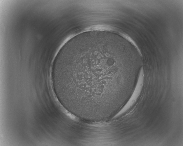 X0000064721091200602131218