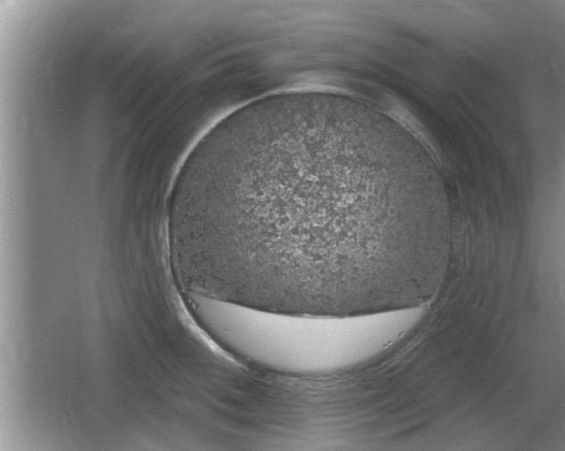 X0000064721092200602131218