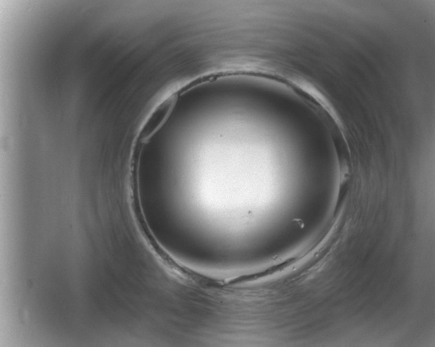 X0000064721093200602131218