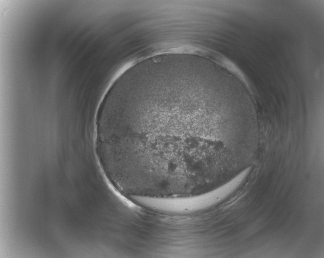 X0000064721095200602131218