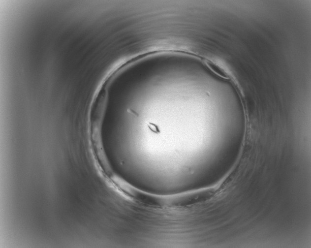 X0000064721096200602131218