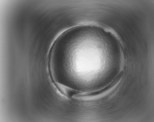 X0000064721102200602131218