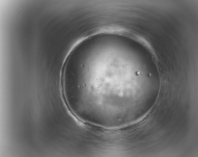 X0000064721103200602131218