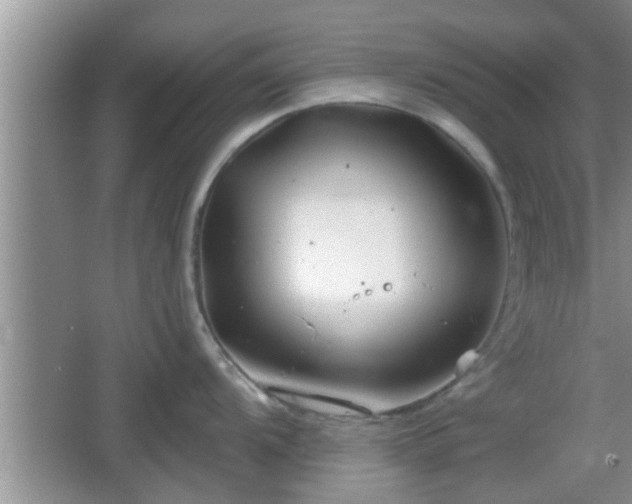 X0000064721104200602131218