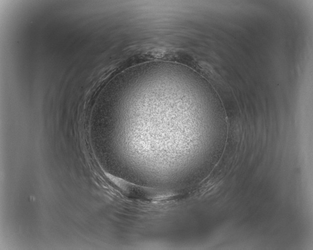 X0000064721105200602131217