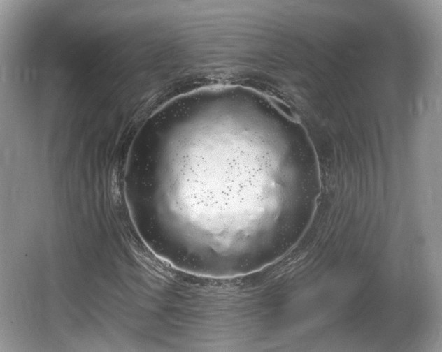 X0000064721106200602131217