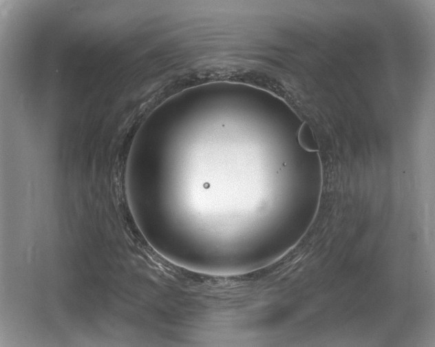 X0000064721109200602131217