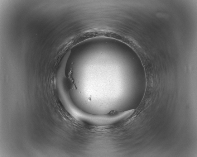 X0000064721110200602131217