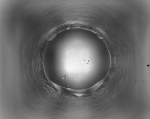 X0000064721111200602131217