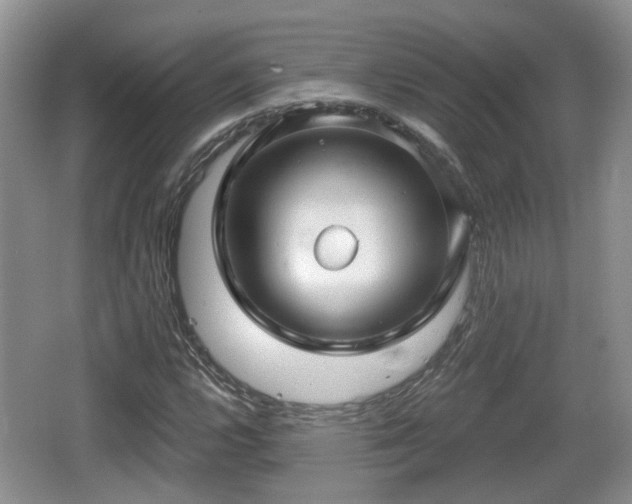 X0000064721112200602131217