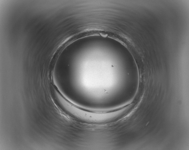 X0000064721113200602131217