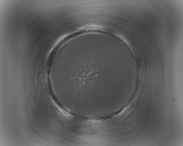 X0000064721115200602131217