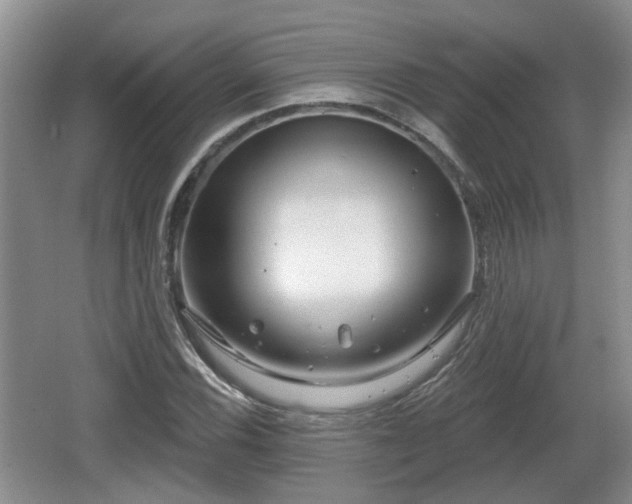 X0000064721116200602131217