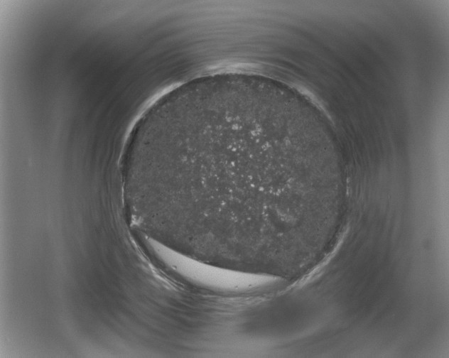 X0000064721117200602131217