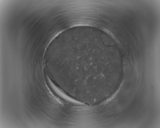 X0000064721121200602131217