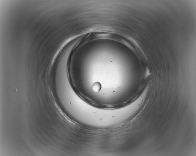 X0000064721123200602131217