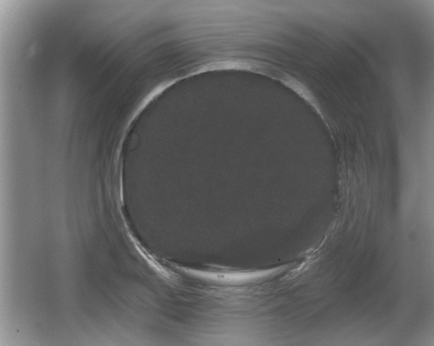 X0000064721127200602131217