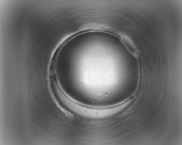 X0000064721128200602131217