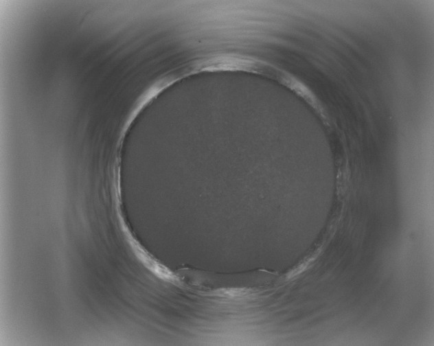 X0000064721130200602131217