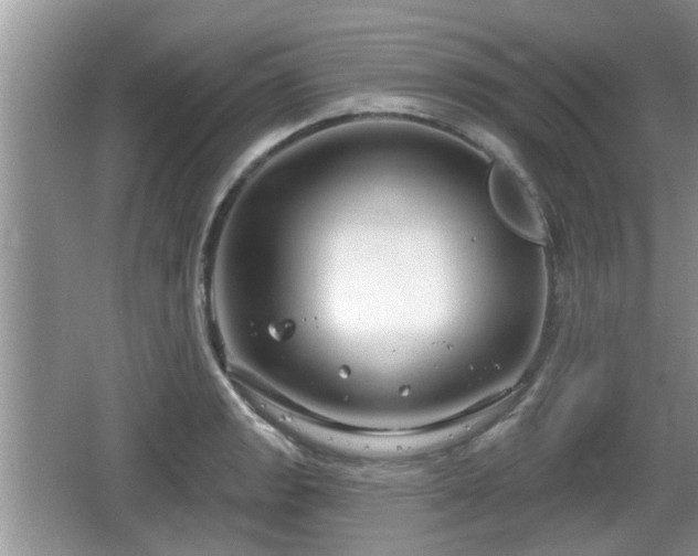 X0000064721133200602131217