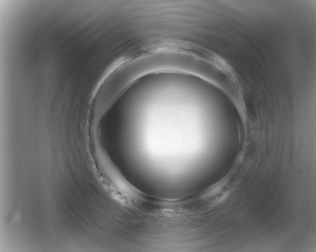 X0000064721138200602131217