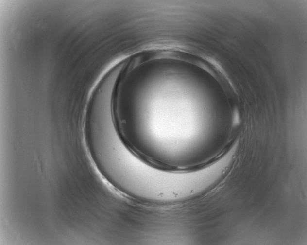 X0000064721139200602131217