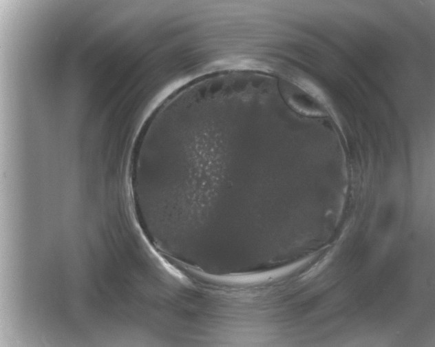 X0000064721141200602131217