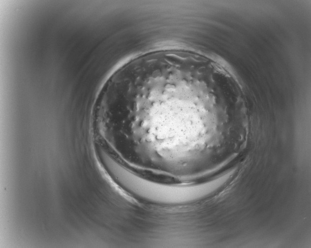 X0000064721142200602131217