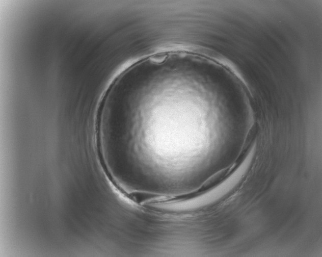 X0000064721143200602131218