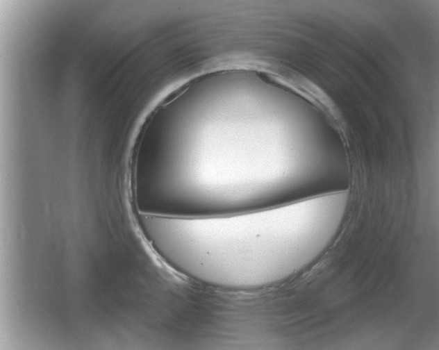 X0000064721144200602131218