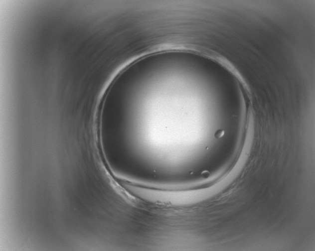 X0000064721148200602131218