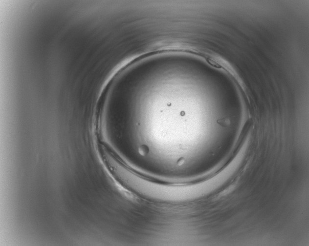 X0000064721149200602131218