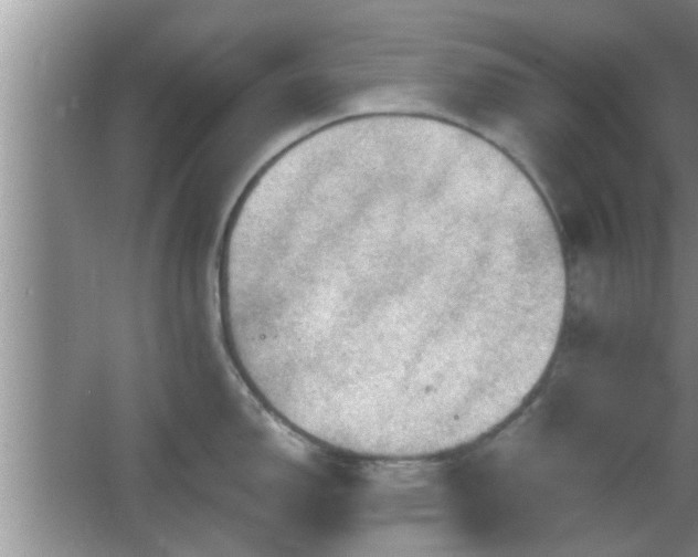 X0000064721150200602131218