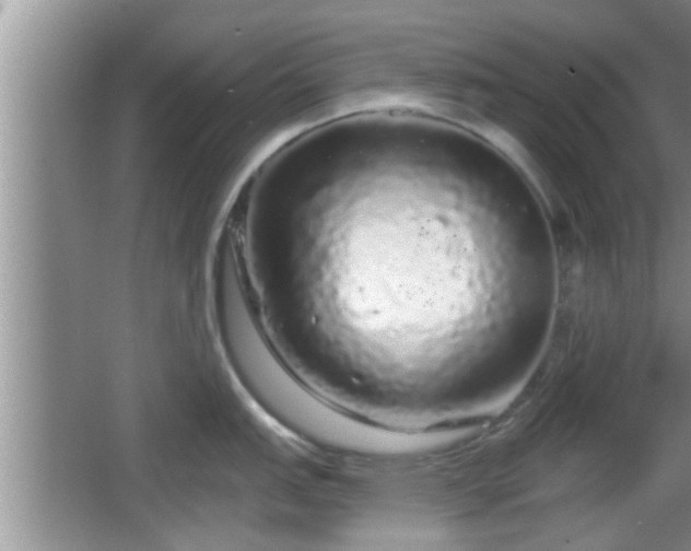 X0000064721151200602131218