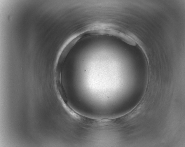 X0000064721152200602131218