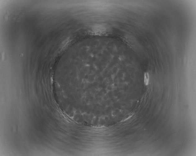 X0000064721155200602131217