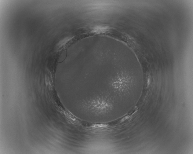 X0000064721158200602131217